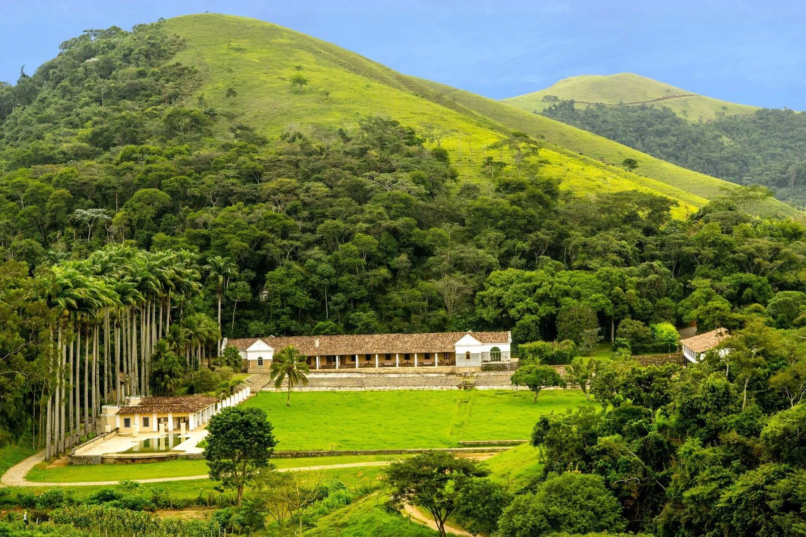 Vale do Café: o berço do ouro negro que conquistou o mundo